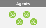 Agents-MantisNet