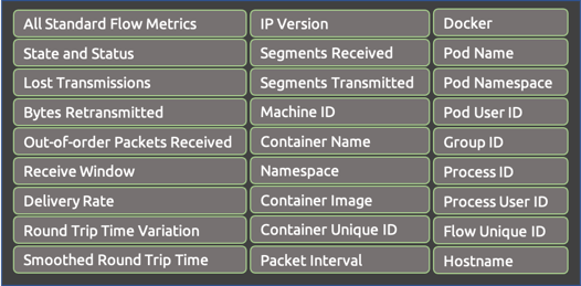 CNFlow-Metadata-fields-MantisNet