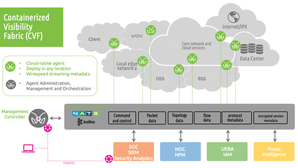 CVF-diagram-061720a