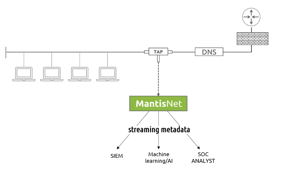 MantisNet | Sensor for Continuous DNS Monitoring